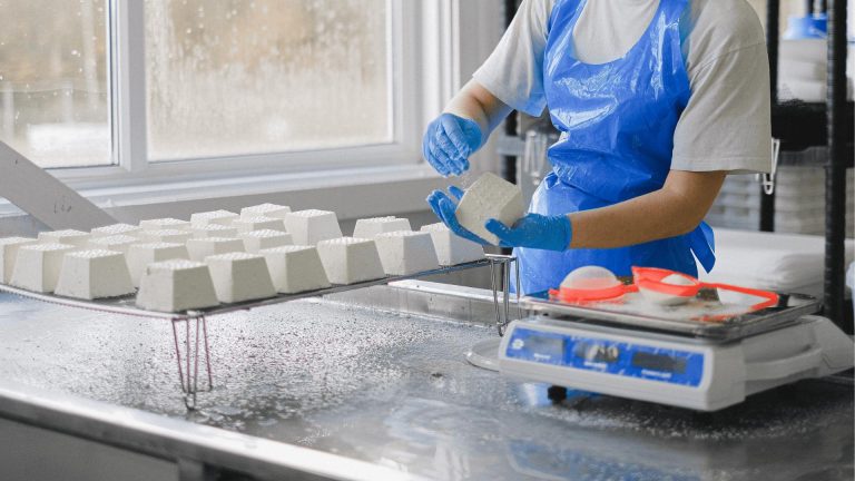 GMP (Good Manufacturing Practice)
