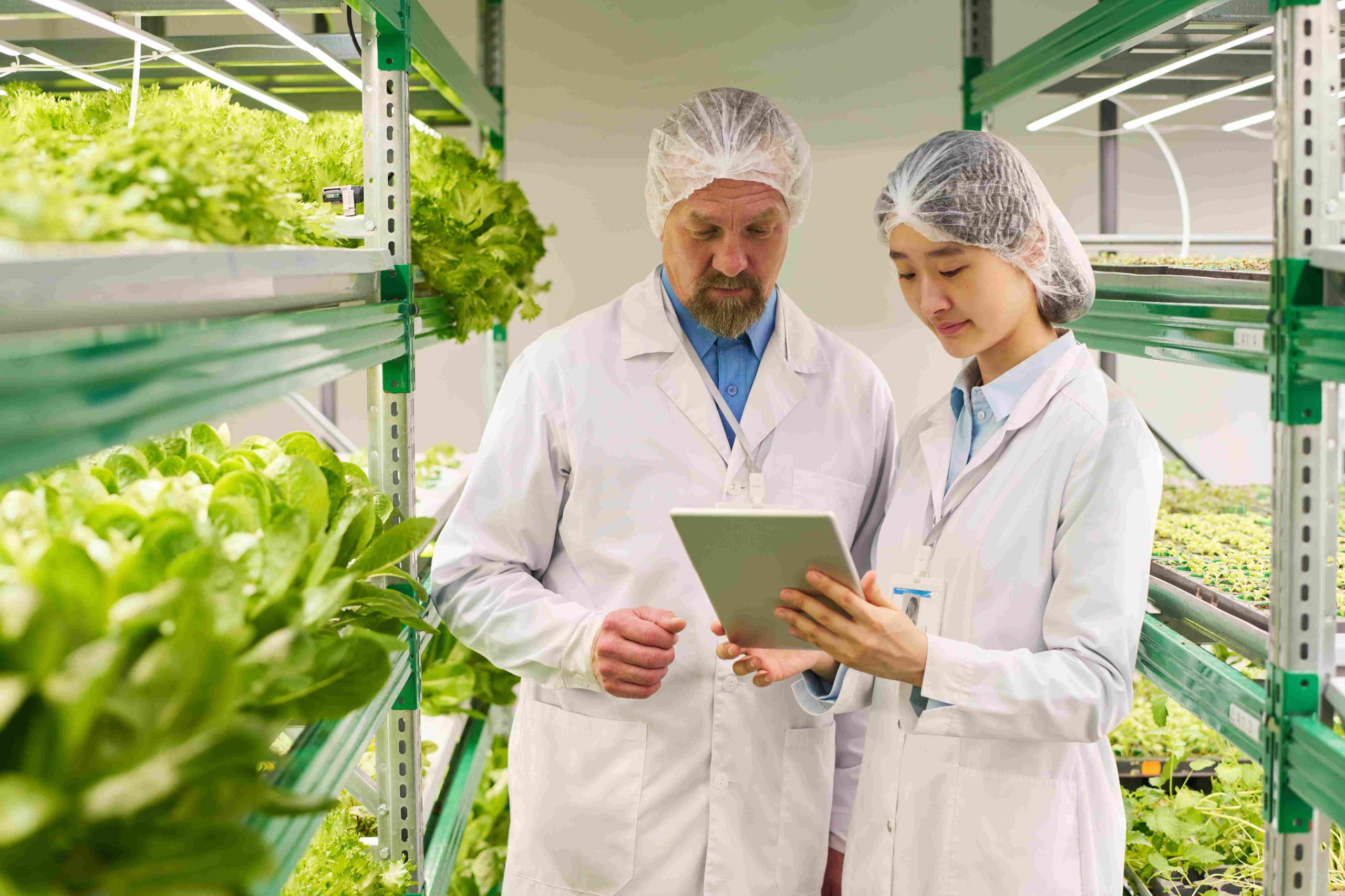Food Safety di Era Digital: Bagaimana Teknologi Membantu Monitoring Keamanan Pangan?