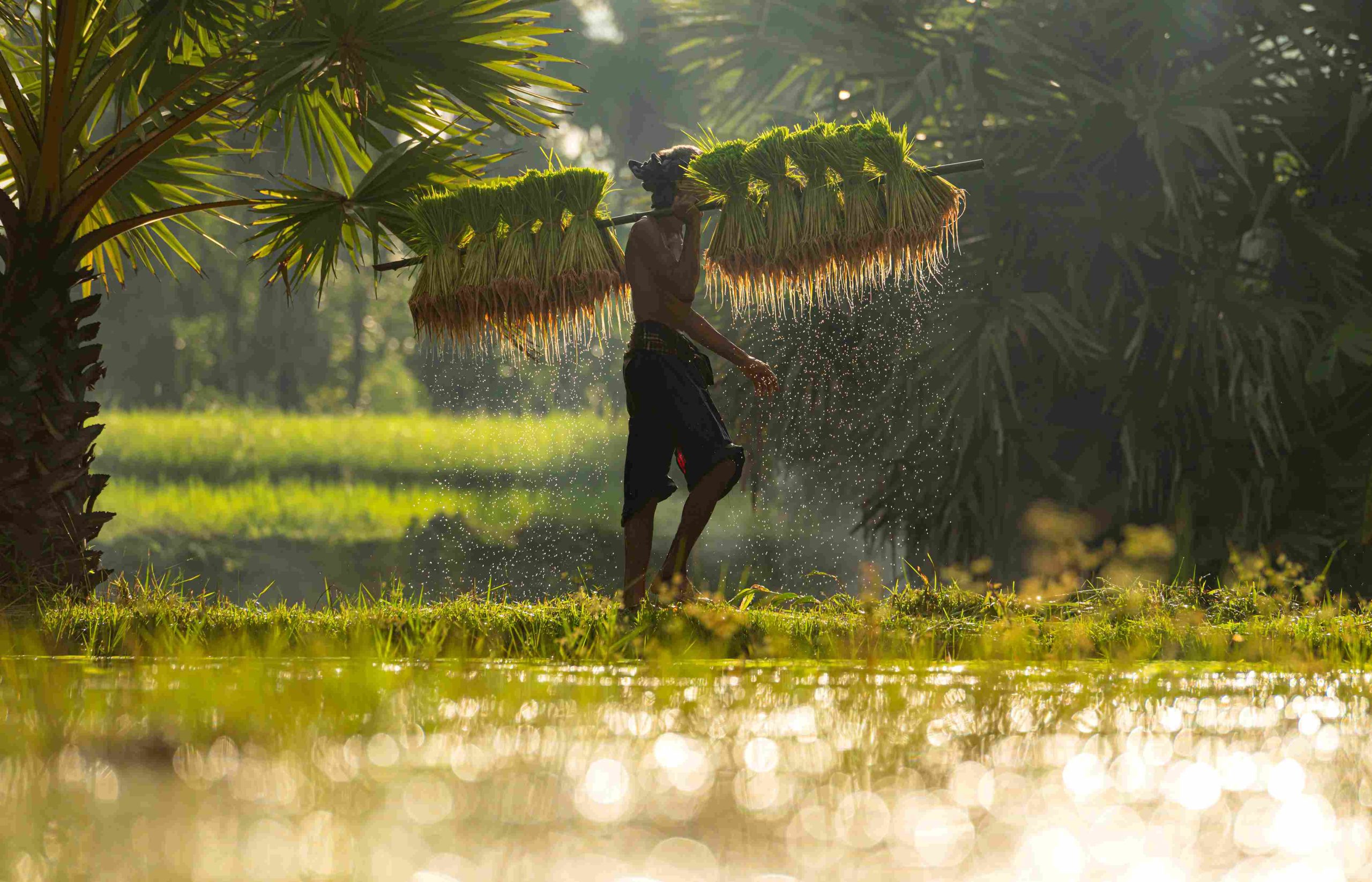Tanpa ISO 22000, Industri Pangan Indonesia Terancam Tertinggal